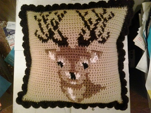 Custom Crochet Pillow