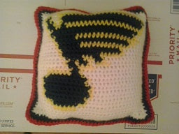 Custom Crochet Pillow